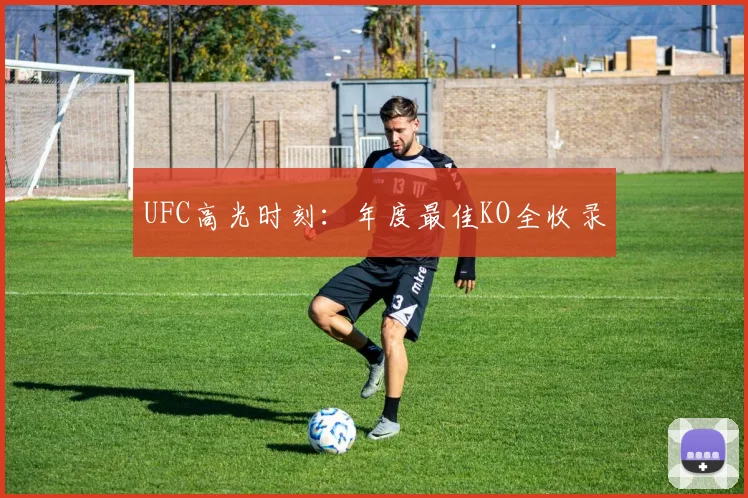 UFC高光时刻：年度最佳KO全收录