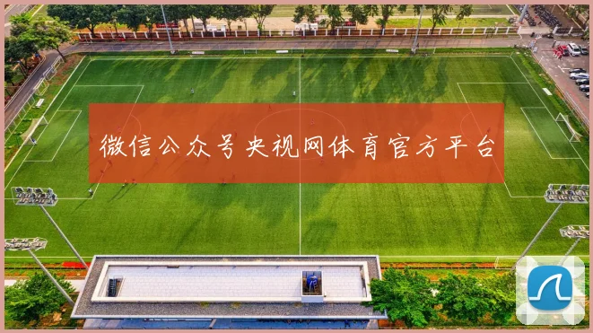 微信公众号央视网体育官方平台