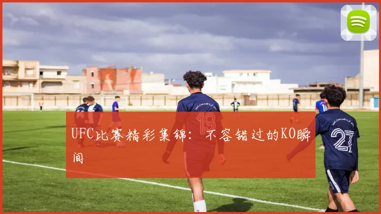 UFC比赛精彩集锦：不容错过的KO瞬间