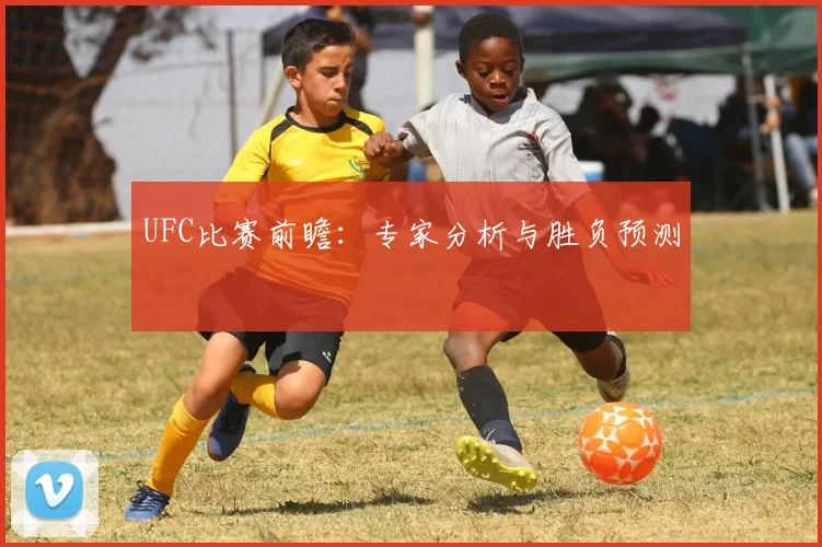 UFC比赛前瞻：专家分析与胜负预测
