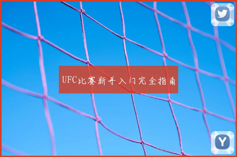 UFC比赛新手入门完全指南