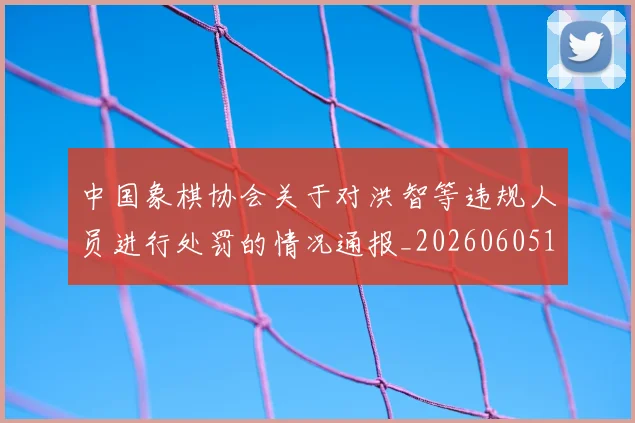中国象棋协会关于对洪智等违规人员进行处罚的情况通报_20260605104239