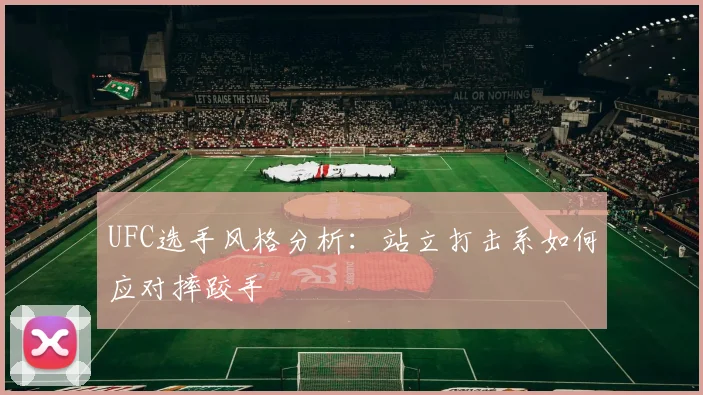 UFC选手风格分析：站立打击系如何应对摔跤手