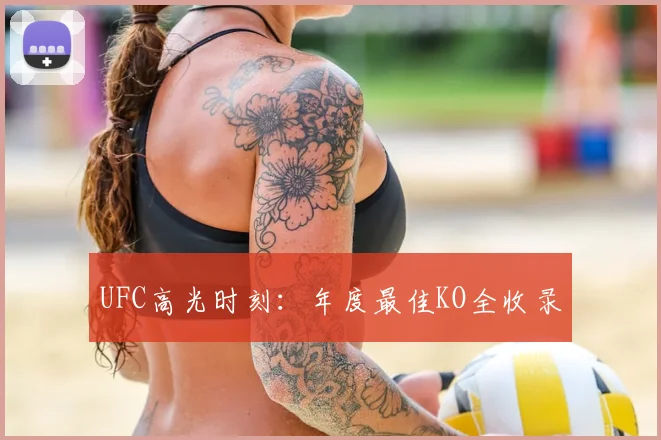 UFC高光时刻：年度最佳KO全收录