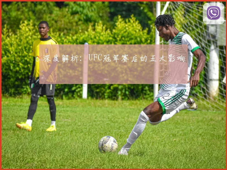 深度解析：UFC冠军赛后的五大影响