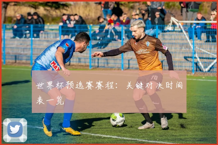 世界杯预选赛赛程：关键对决时间表一览