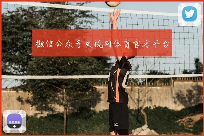 微信公众号央视网体育官方平台