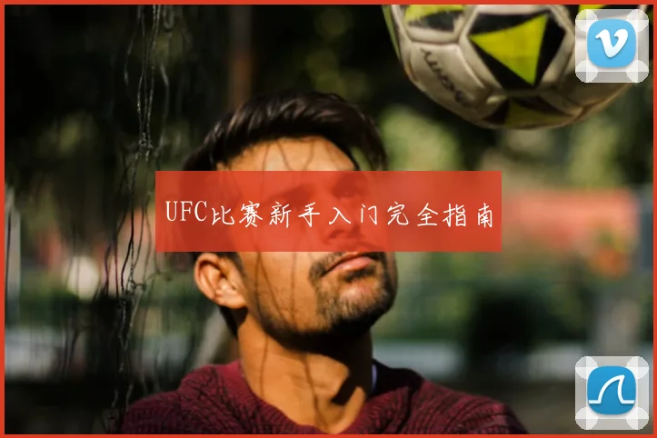 UFC比赛新手入门完全指南